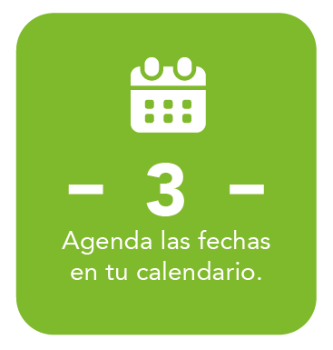 pasos-leadso-03